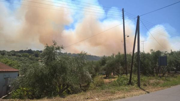 Υπό έλεγχο η φωτιά στην Κορώνη: Έκαψε 35 στρέμματα (βίντεο)